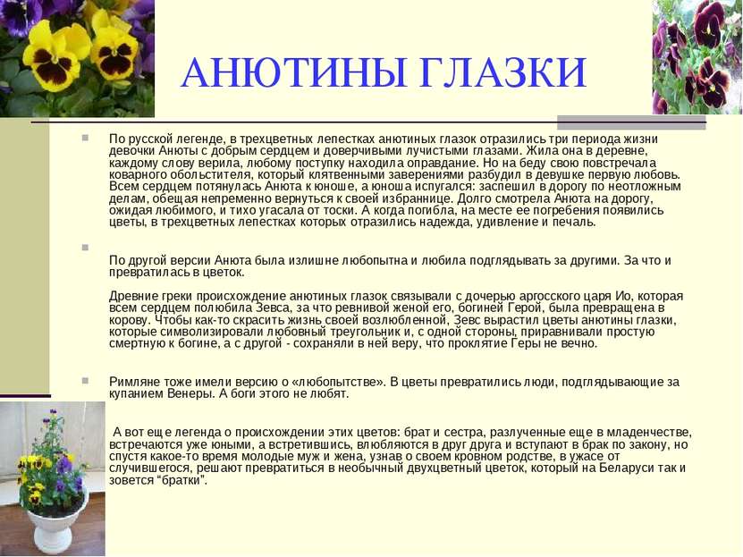 АНЮТИНЫ ГЛАЗКИ По русской легенде, в трехцветных лепестках анютиных глазок от...