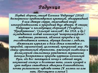 Первый сборник стихов Есенина "Радуница" (1916) восторженно приветствуется кр...