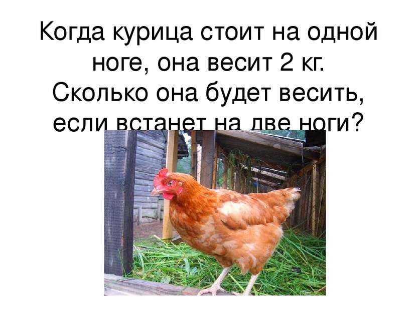 Когда курица стоит на одной ноге, она весит 2 кг. Сколько она будет весить, е...