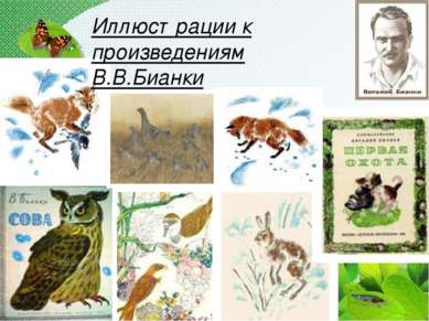 Иллюстрации к произведениям В.В.Бианки
