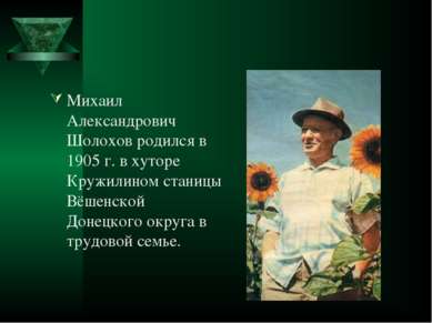 Михаил Александрович Шолохов родился в 1905 г. в хуторе Кружилином станицы Вё...