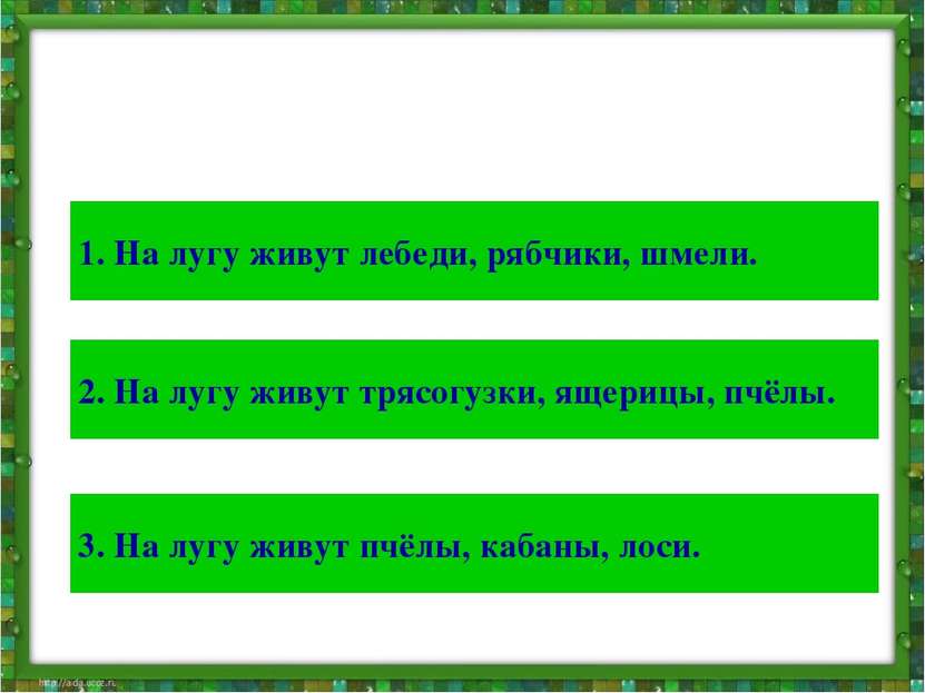 Тест Выбери правильный ответ: 1. На лугу живут лебеди, рябчики, шмели. 2. На ...