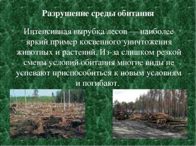 Разрушение среды обитания Интенсивная вырубка лесов — наиболее яркий пример к...