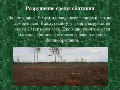 Разрушение среды обитания За последние 100 лет площадь лесов сократилась на З...