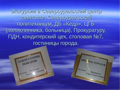 Экскурсии в Североуральский центр занятости, Североуральский политехникум, ДБ...