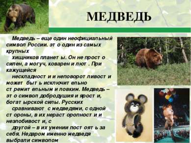 Медведь – еще один неофициальный символ России. это один из самых крупных хищ...