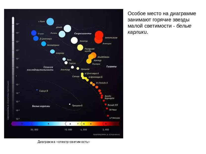 Особое место на диаграмме занимают горячие звезды малой светимости - белые ка...