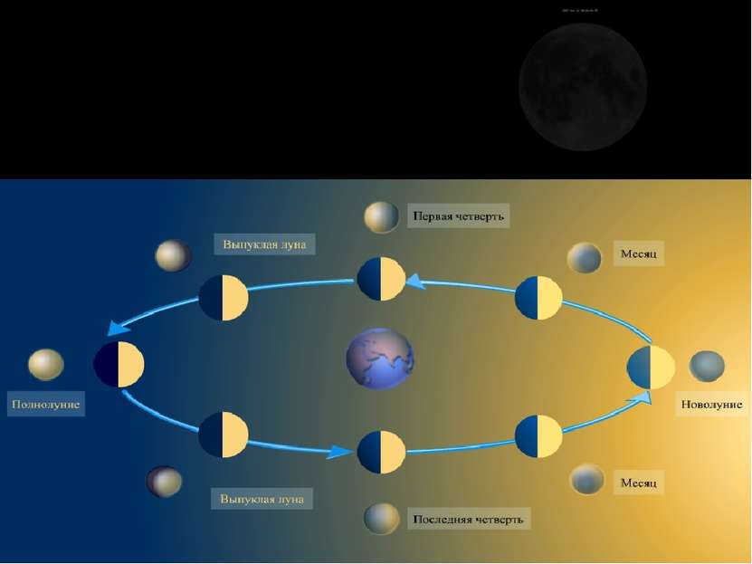 А ЧТО ЖЕ ТАКОЕ ФАЗА? Фаза - периодически меняющиеся состояния освещения Луны ...
