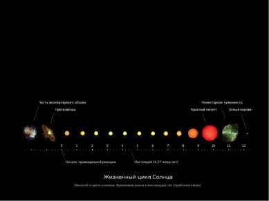 Жизненный цикл солнца Солнце является молодой звездой третьего поколения (поп...