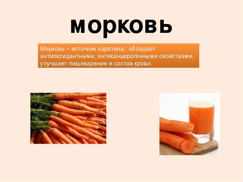 морковь Морковь – источник каротина,  обладает антиоксидантными, антиканцерог...