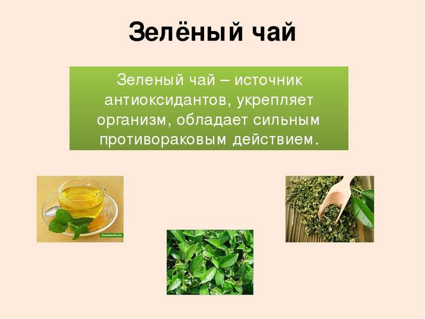 Зелёный чай Зеленый чай – источник антиоксидантов, укрепляет организм, облада...