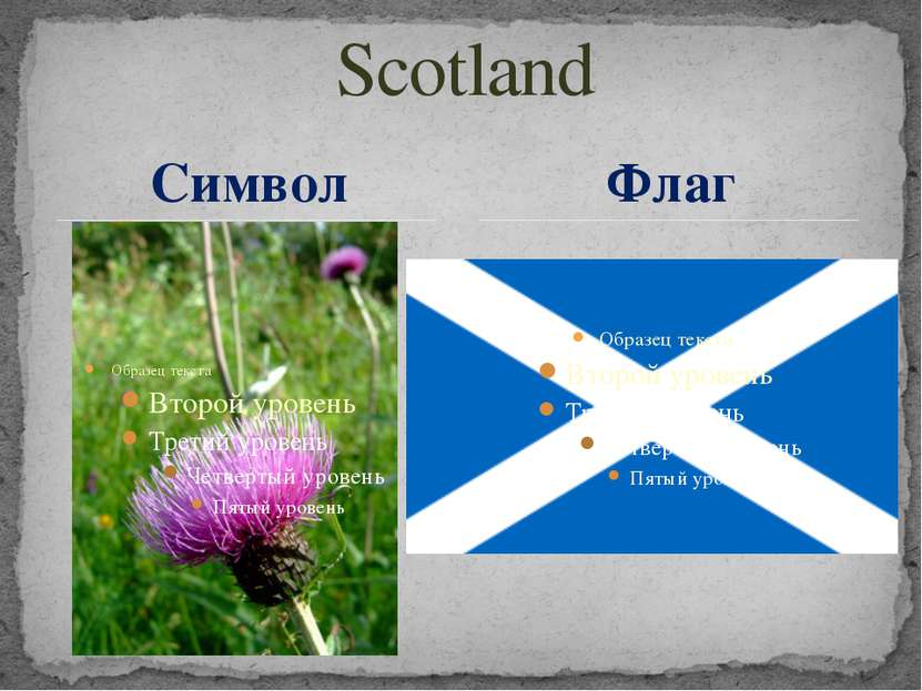 Scotland Символ Флаг