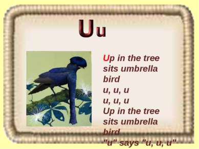 Up in the tree sits umbrella bird u, u, u u, u, u Up in the tree sits umbrell...