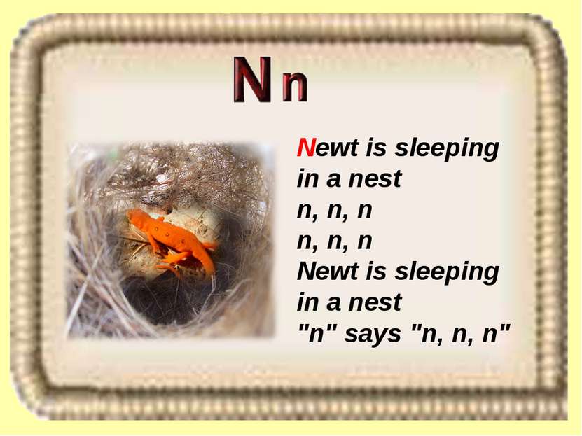 Newt is sleeping in a nest n, n, n n, n, n Newt is sleeping in a nest "n" say...