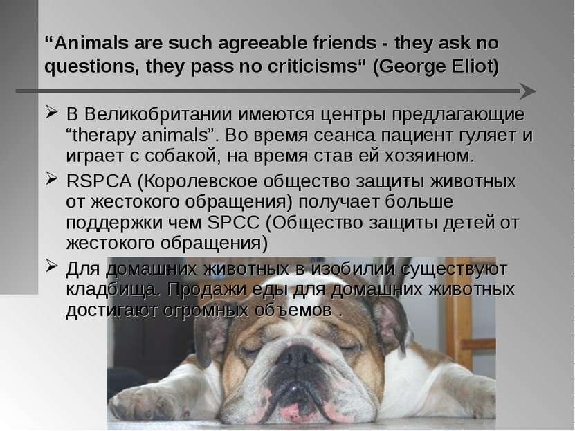 “Animals are such agreeable friends - they ask no questions, they pass no cri...