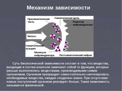 Импульс Синаптический пузырек Пресинаптическая часть Рецептор нейромедиатора ...
