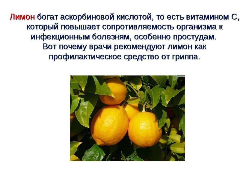 Лимон богат аскорбиновой кислотой, то есть витамином С, который повышает сопр...