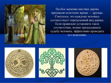 Особое значение мистике дерева придавали кельтские жрецы — друиды. Считалось,...