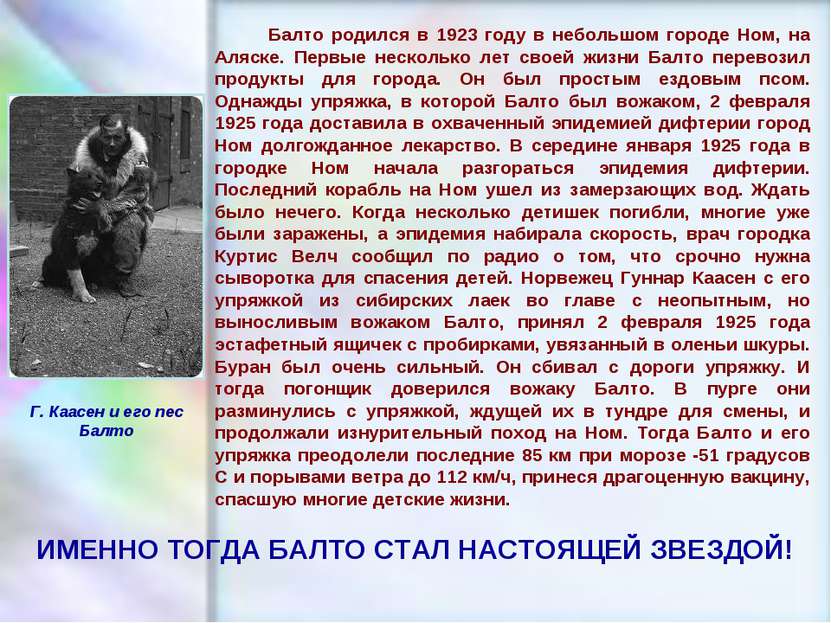 ЧУВАШСКАЯ РЕСПУБЛИКА, г. ШУМЕРЛЯ, МОУ «СОШ №2» Балто родился в 1923 году в не...
