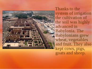 Thanks to the system of irrigation the cultivation of the soil was highly adv...