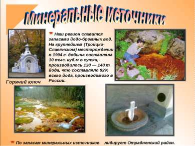 Наш регион славится запасами йодо-бромных вод. На крупнейшем (Троицко-Славянс...