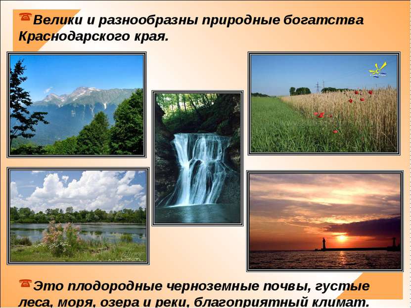 Велики и разнообразны природные богатства Краснодарского края. Это плодородны...