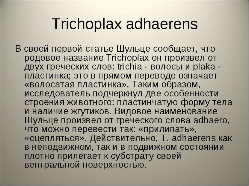Trichoplax adhaerens В своей первой статье Шульце сообщает, что родовое назва...