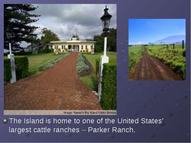 The Island is home to one of the United States’ largest cattle ranches – Park...