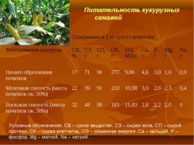 Питательность кукурузных сенажей Условные обозначения: СВ – сухое вещество, С...
