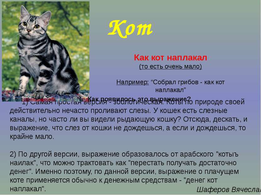 1) Самая простая версия - зоологическая. Коты по природе своей действительно ...
