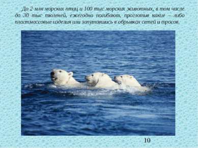 До 2 млн морских птиц и 100 тыс морских животных, в том числе до 30 тыс тюлен...