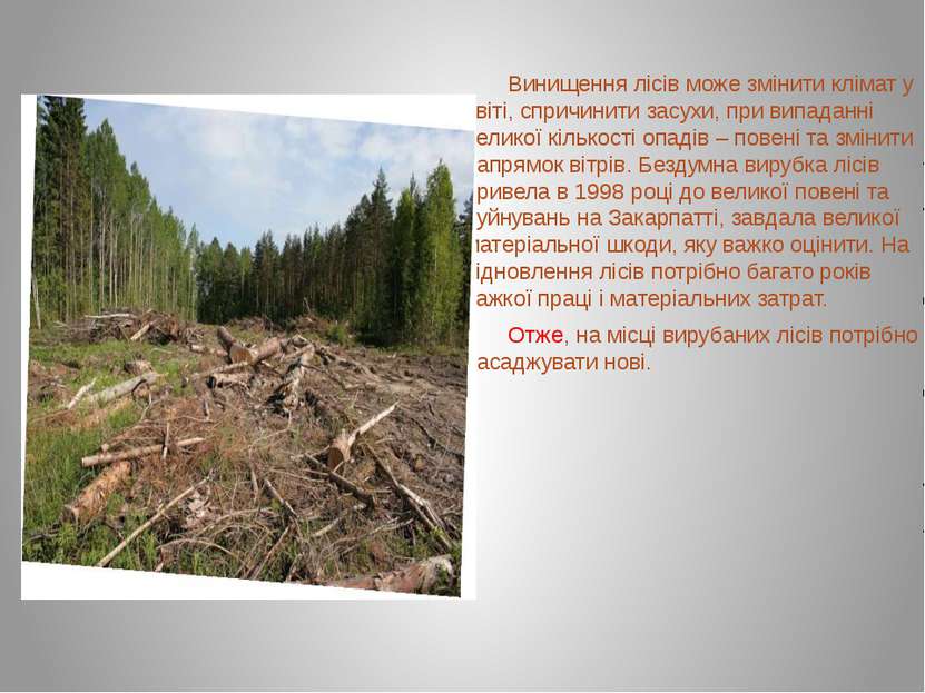 Винищення лісів може змінити клімат у світі, спричинити засухи, при випаданні...