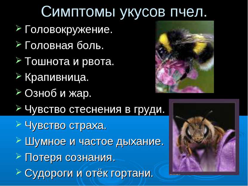 Симптомы укусов пчел. Головокружение. Головная боль. Тошнота и рвота. Крапивн...
