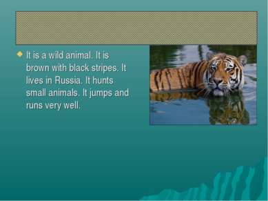 It is a wild animal. It is brown with black stripes. It lives in Russia. It h...
