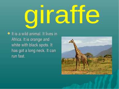 It is a wild animal. It lives in Africa. It is orange and white with black sp...