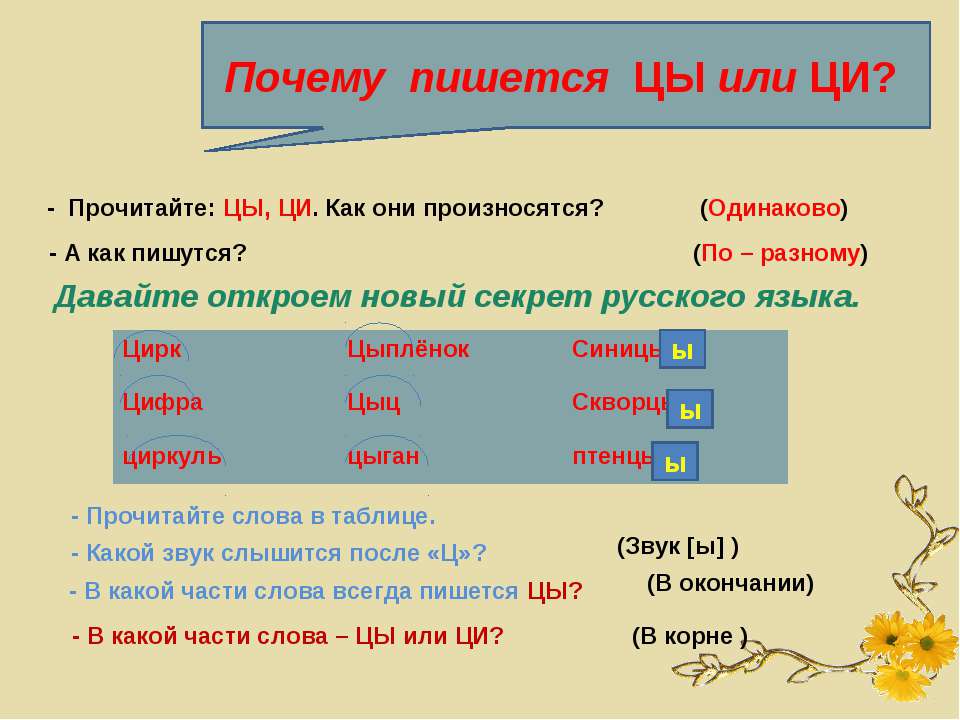 Выделишь как пишется и почему. Почему как пишется. Цы Ци. Правило по русскому языку в окончании цы или Ци. Как правильно писать по разному.