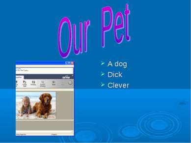 A dog Dick Clever