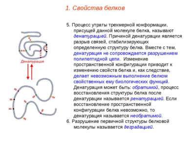 5. Процесс утраты трехмерной конформации, присущей данной молекуле белка, наз...