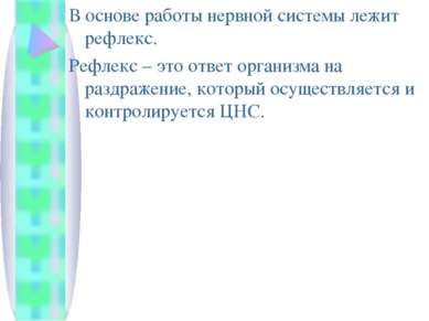 В основе работы нервной системы лежит рефлекс. Рефлекс – это ответ организма ...