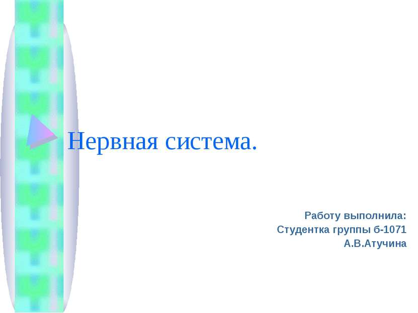 Нервная система. Работу выполнила: Студентка группы б-1071 А.В.Атучина