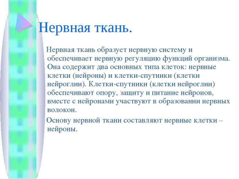 Нервная ткань. Нервная ткань образует нервную систему и обеспечивает нервную ...