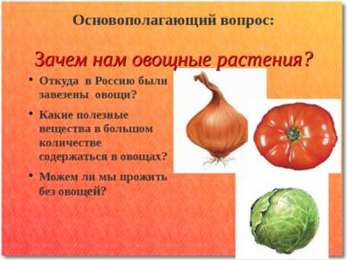 Основополагающий вопрос: Зачем нам овощные растения? Откуда в Россию были зав...