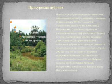Присурская дубрава является ботаническим памятником природы регионального зна...