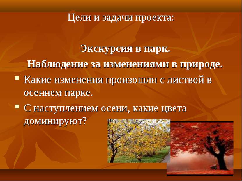 Цели и задачи проекта: Экскурсия в парк. Наблюдение за изменениями в природе....