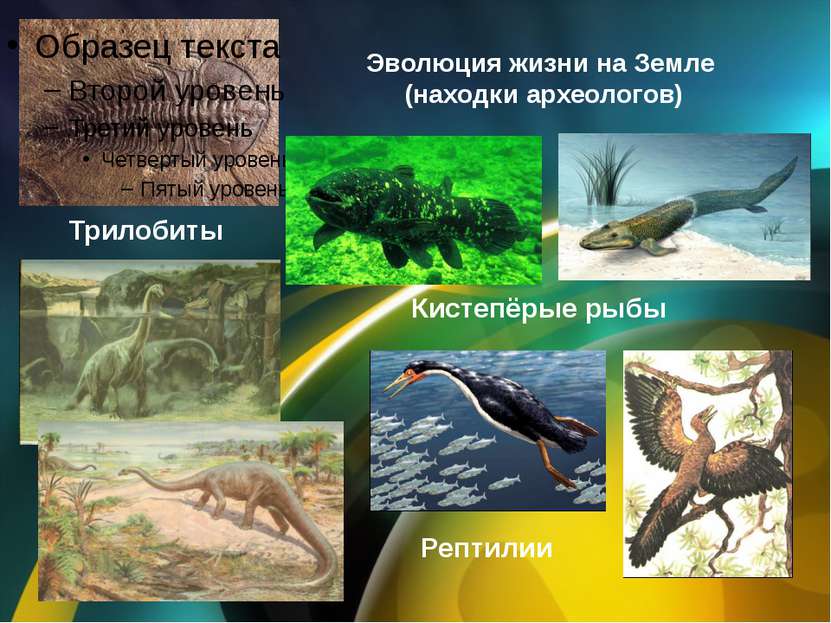 Эволюция жизни на Земле (находки археологов)