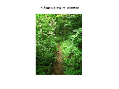 4. Ходить в лесу по тропинкам
