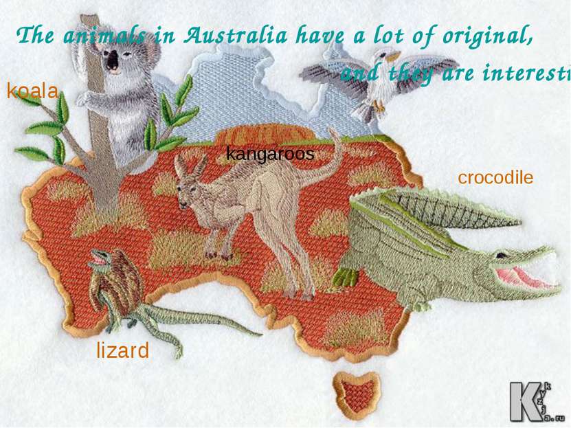 The animals in Australia have a lot of original, and they are interesting, fo...