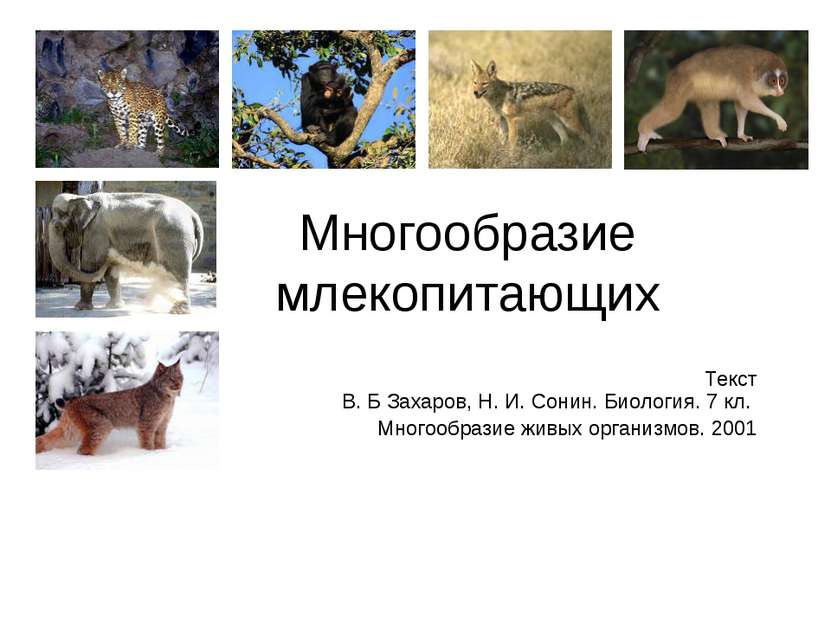 Многообразие млекопитающих Текст В. Б Захаров, Н. И. Сонин. Биология. 7 кл. М...