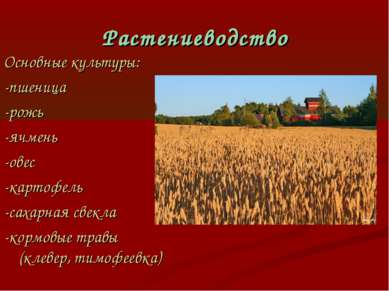 Растениеводство Основные культуры: -пшеница -рожь -ячмень -овес -картофель -с...