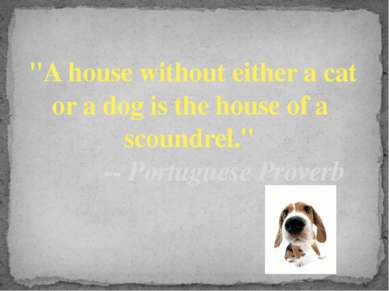 "A house without either a cat or a dog is the house of a  scoundrel."        ...